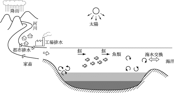 富栄養化の模式図