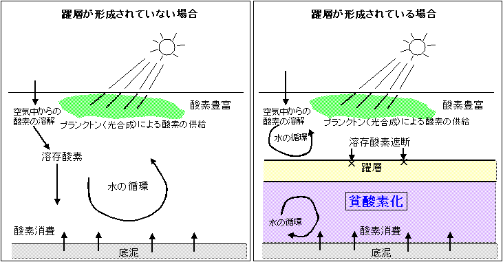 貧酸素化の仕組み