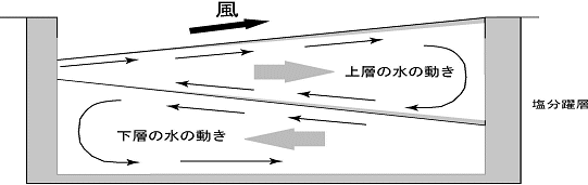 貧酸素水の動き1