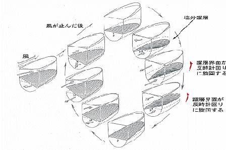 貧酸素水の旋回する様子