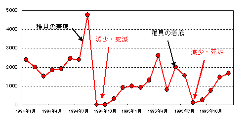 シジミの稚貝の減少の事例