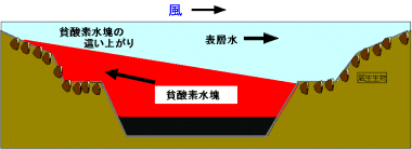 貧酸素水の這い上がりの様子