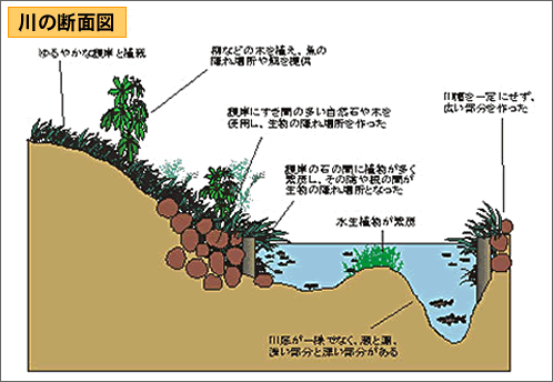 川の断面図