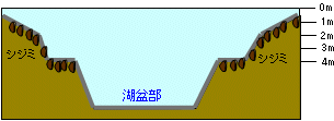 断面図