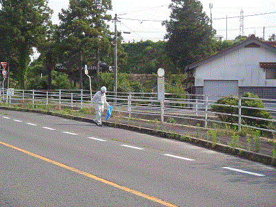 道路沿いのごみ拾いの様子