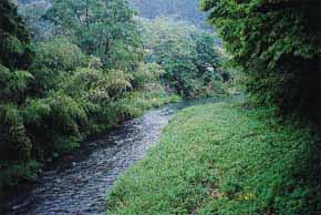 津和野川