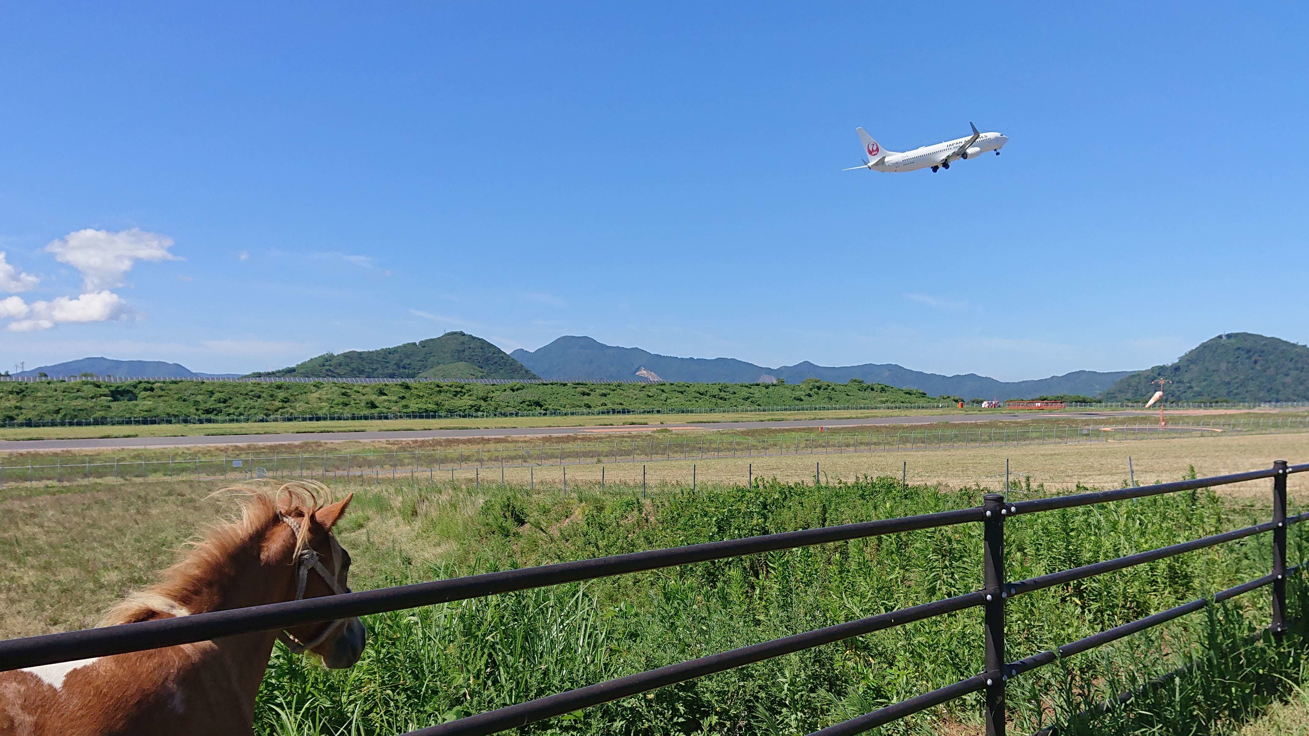 飛行機の着陸