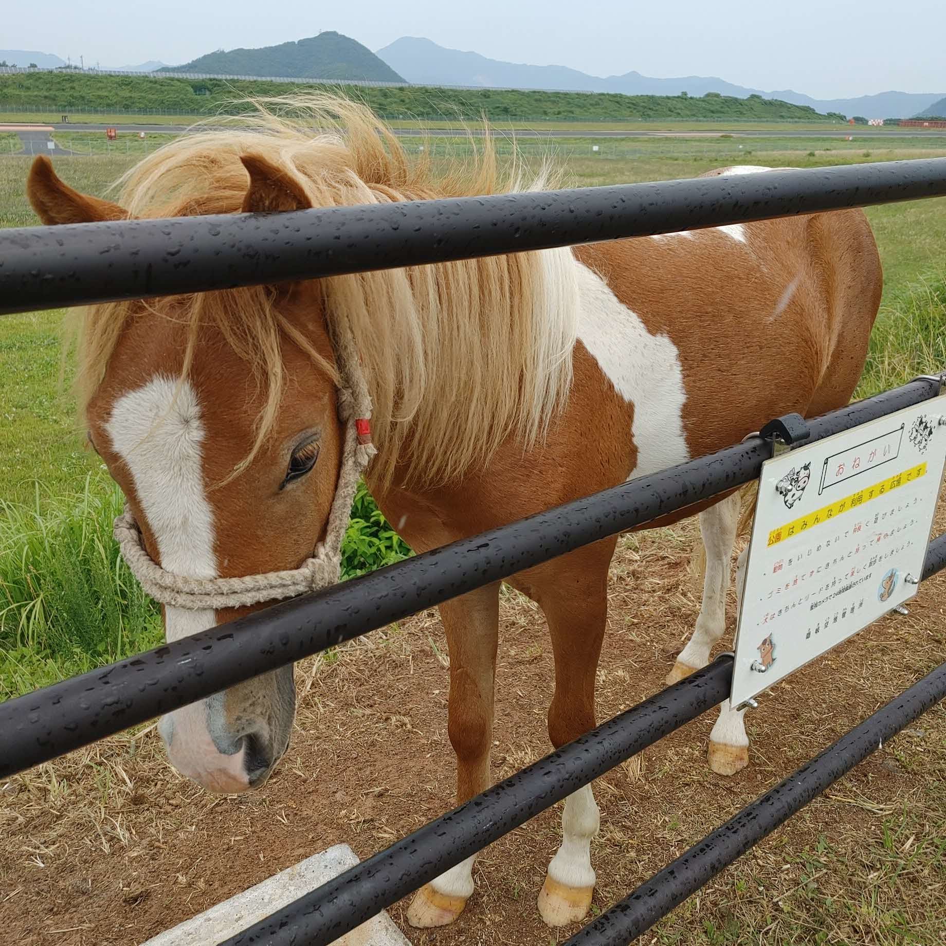 訓練風景