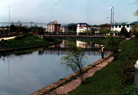 写真（緑化された土手（母衣小学校付近））