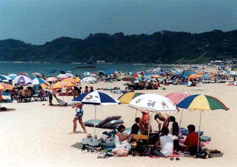 写真（海水浴客で賑わう浜）