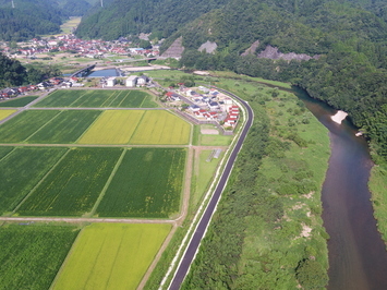 今田地区6月