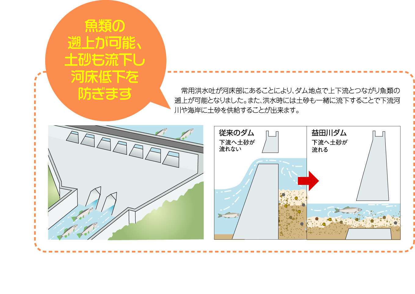 魚類が遡上可能なことを表している図