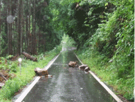 路面の落石