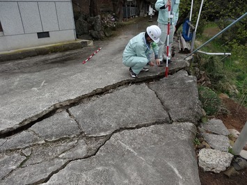 判定活動の画像3