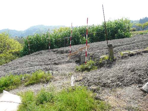 地すべり発生により斜面にひび割れが発生