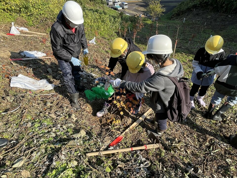 植樹の様子1。教えて貰いながら、植樹しました