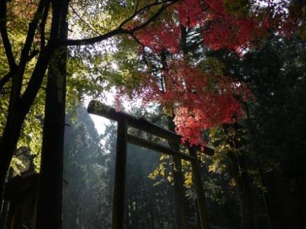 石見銀山遺跡（佐毘売山神社）