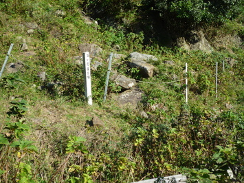 古墳全景