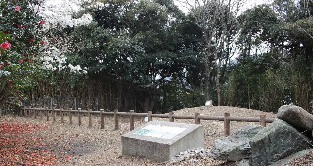 新開４号墳外観写真