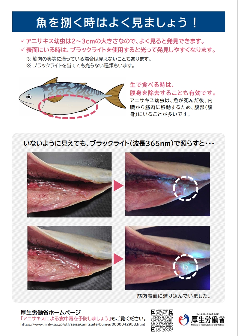 アニサキスチラシ２