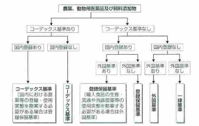 判断樹