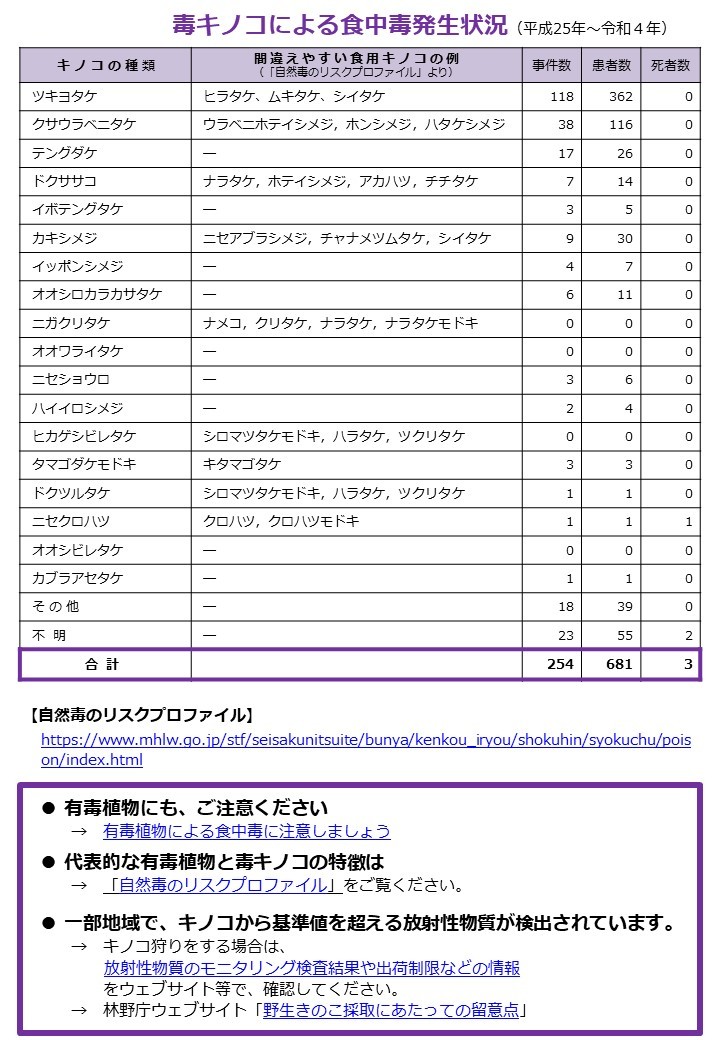 毒キノコちらし裏面