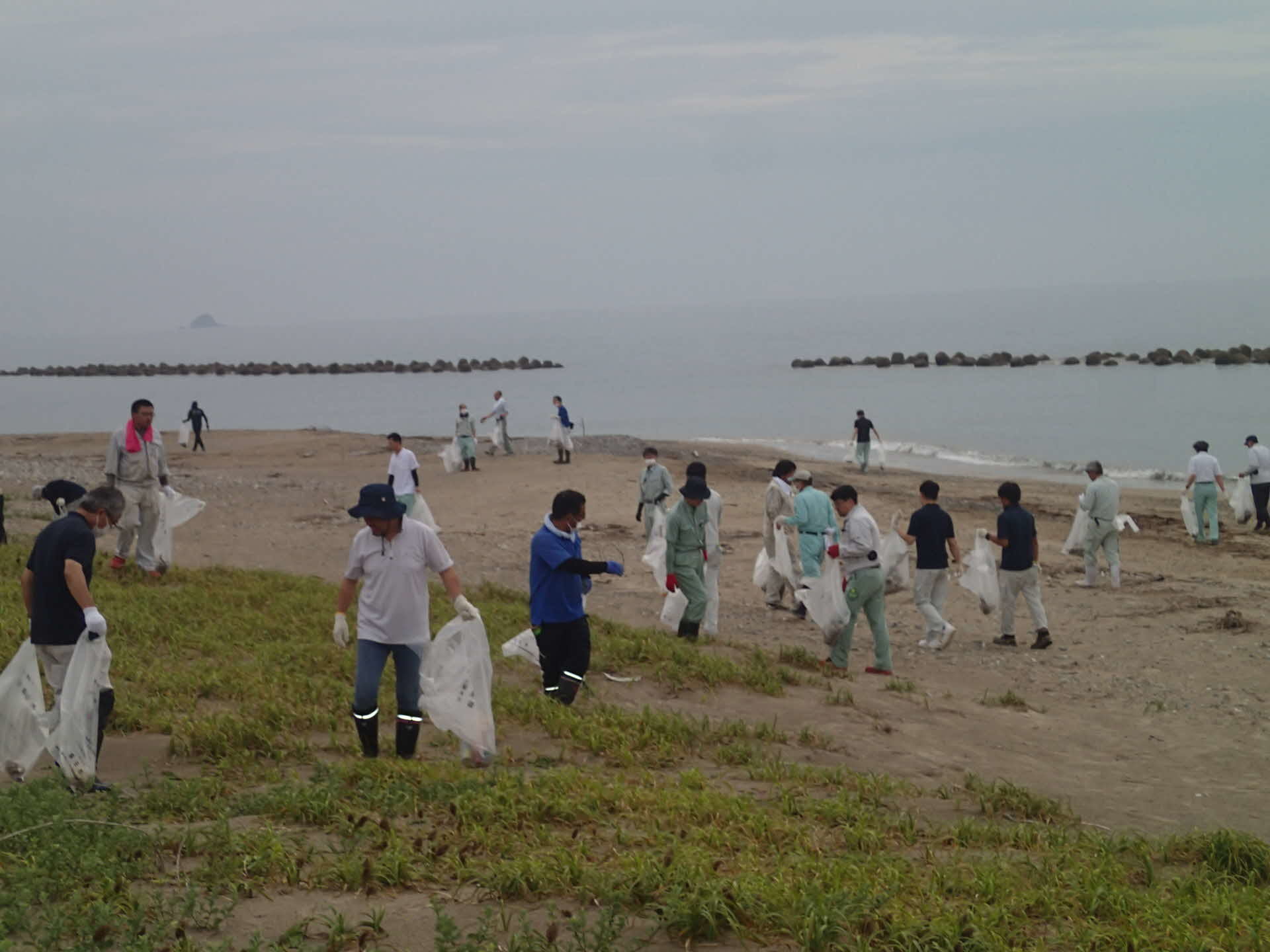 海岸清掃の状況２