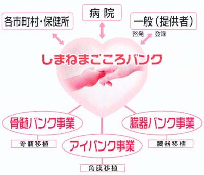 まごころバンク まごころバンク