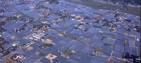 ほ場全景 ほ場全景