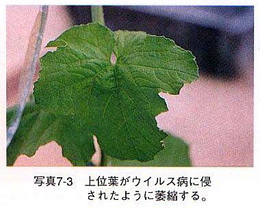 症状1 症状1