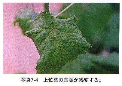 症状2 症状2