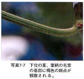 症状5 症状5
