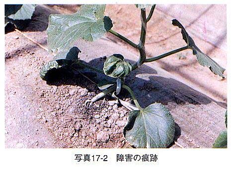 症状2 症状2