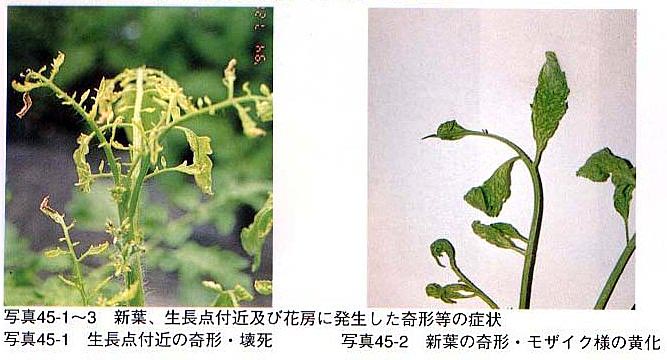 症状1 症状1
