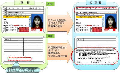 改正後の免許証例