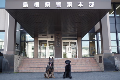 警察犬と広報犬