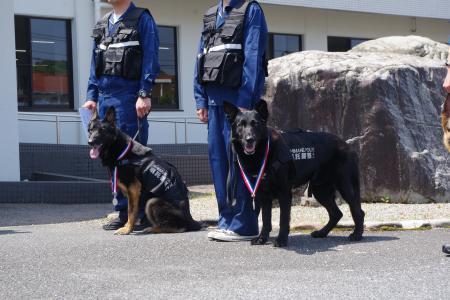 嘱託警察犬と指導手３枚目