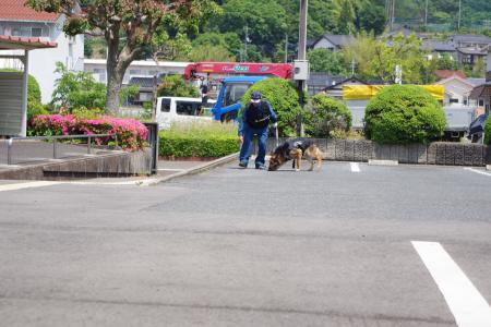 嘱託警察犬と指導手７枚目