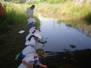 みんなで川の水を採取