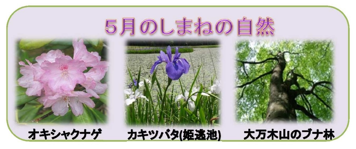 5月のしまねの自然
