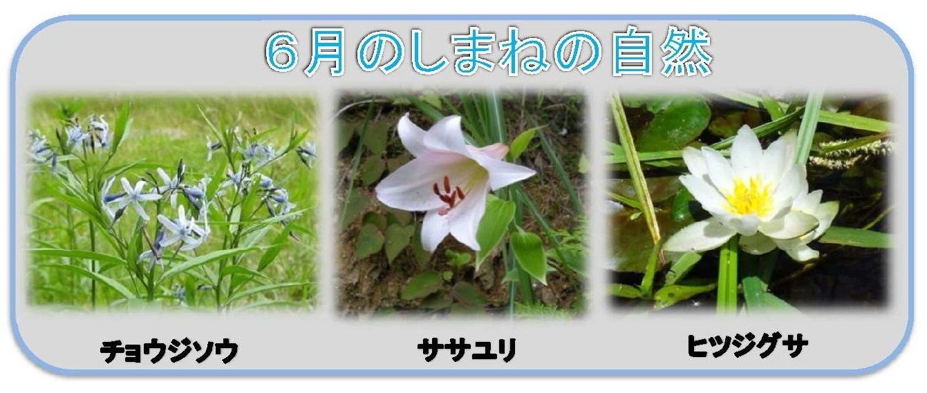 5月のしまねの自然