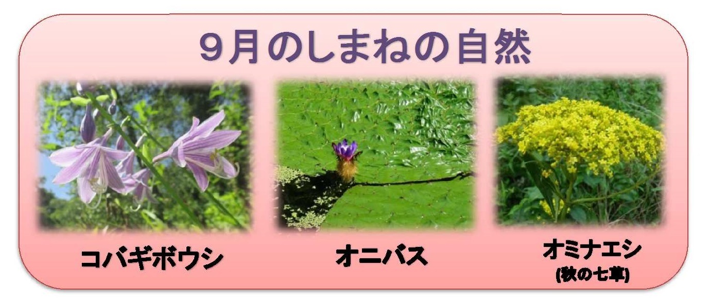 9月のしまねの自然